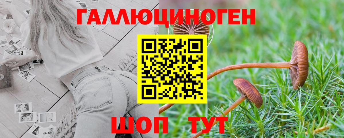 Ржев  Псилоцибиновые грибы Magic Shrooms  Вход с VPN  Псилоцибиновые грибы Psilocybine cubensis 